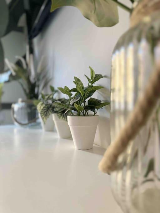 - Cabanyal Boutique Hébergement de vacances *